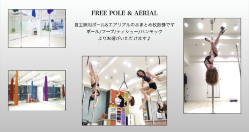 free-pole-aerial-kaisuuken